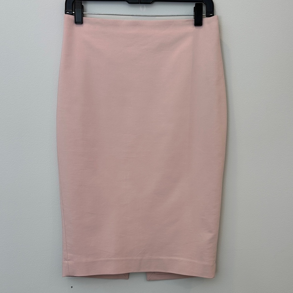 Chic Blush Pencil Skirt